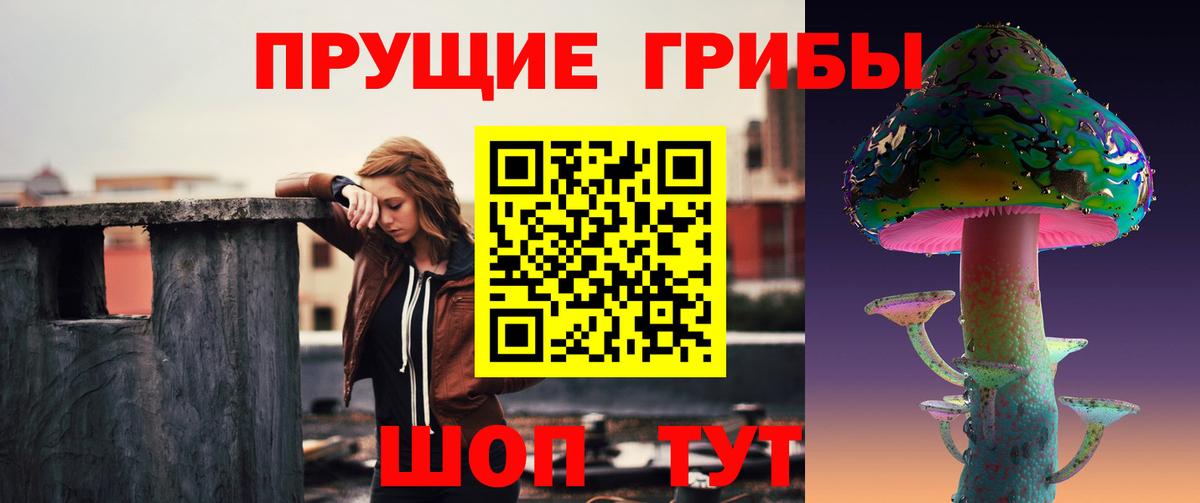 Галлюциногенные грибы Psilocybe Семилуки